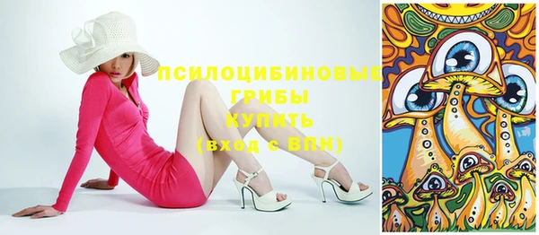Альфа ПВП Алексин
